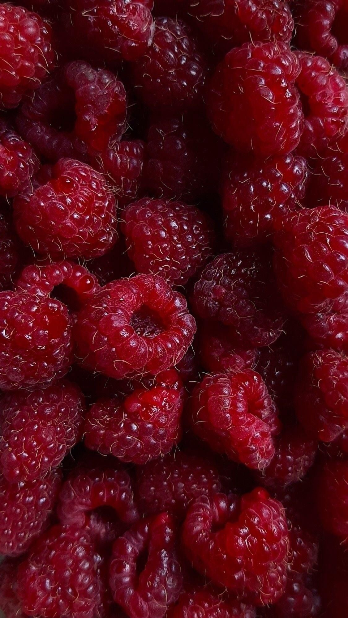 Limpiadora Antioxidante de Berries