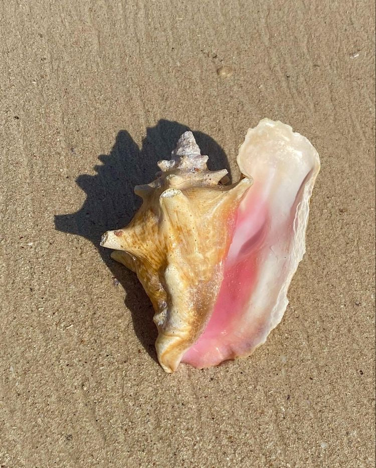La Playa